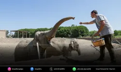Üç nesil Doğal Yaşam Parkı’nda buluştu