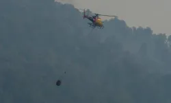 İspanya'da orman yangını: 11 ölü