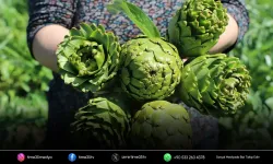 İzmir'den NATO sofralarına uzanan lezzet