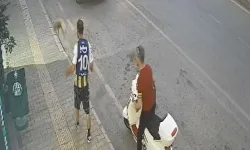 Kediye tekme atan şüpheli yakalandı