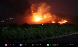 Menemen'deki maki yangını kontrol altına alındı