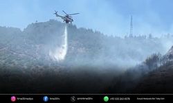 Narlıdere'deki orman yangını kontrol altına alındı