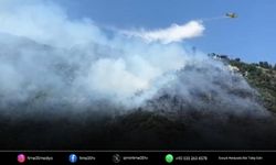 Narlıdere'de orman yangınına müdahale sürüyor