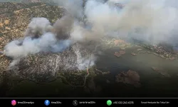 Aydın'da 5 ayrı noktada tarım arazisi yangını