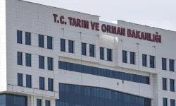 Bakanlık iddiaları yalanladı: İstila söz konusu değil