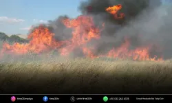 Yangın tehlikesi büyüyor! Uzmandan dikkat çeken açıklama