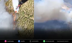 Orman yangını 14 saat sonra kontrol altında