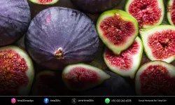 Taze incirde 100 milyon dolarlık hedef