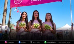 Bozalan İncir Festivali binlerce ziyaretçiyi buluşturdu