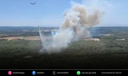İzmir'de bir orman yangını daha! Ekipler seferber oldu