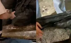 Alihan Kuriş soruşturmasında imha girişimi