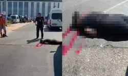 Emekli polis memuru, eşini öldürdü