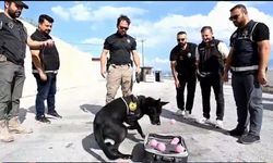 Erzincan’da narkotik köpeği Naz’a duygusal veda