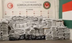 Kapıkule Gümrük Kapısı'nda 810 kilo esrar ele geçirildi