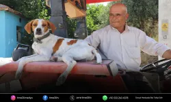 İzmir'de çiftçi ile köpeğinin örnek dostluğu