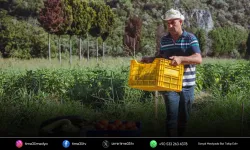 Adabahçe’de hasat bereketi: Ürünler uygun fiyatla sofralarda