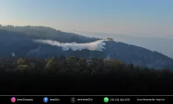 Aydın'daki orman yangını 2'nci gününde