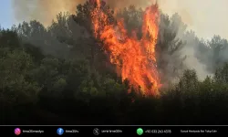 Muğla’da orman yangını! Ekipler seferber oldu