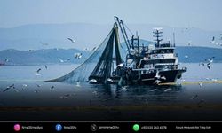 İzmirli balıkçılardan yeni sezon için palamut müjdesi