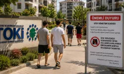 Sitede erkeklere şort yasağı: Karar tepki çekti