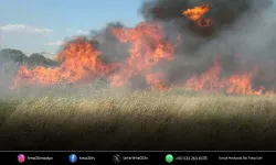 Uzman isimden kritik orman yangını açıklaması