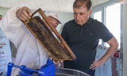Başkan Tugay’ın Bergama turu: Üreticiyle bal sağdı, çocuklarla top oynadı