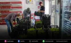 Bornova’nın Dayanışma Tarlası bereket saçıyor