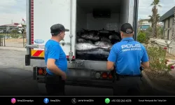 Güzelbahçe'de 3 ton mavi yüzgeçli orkinos ele geçirildi