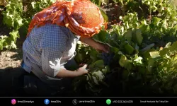 Bahçede 60 lira, markette 200 lira