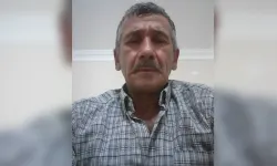 Kesilen ağacın dalının çarptığı orman işçisi öldü