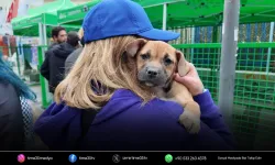 Konak’ta Patilerin Festivali için geri sayım