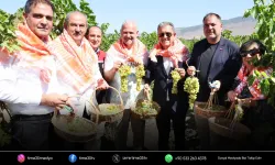 Menemen'de bağ bozumu gerçekleştirildi