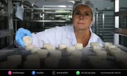 Fransa’dan Menemen’e uzanan peynir hikâyesi