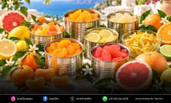 Narenciye konservesinde ihracat hedefi 50 milyon dolar