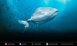 Plastik alarmı: Üretim 2060’a kadar üç katına çıkabilir
