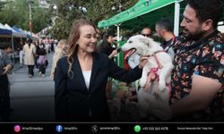 Konak’ta Patilerin Festivali can dostlara yuva oldu