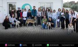 Ege Üniversitesi’nden alınan 83 köpek sahiplendirildi