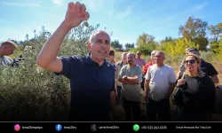 Buca’da “Sertifikalı Zeytin Budama Eğitimi” tamamlandı