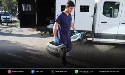 Buca Belediyesi’nden sahipli hayvan iddialarına yanıt