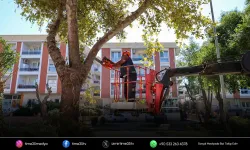 Buca’nın yeşil alanlarına sonbahar bakımı