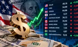 Doların ateşi düşmüyor: 49,17 lirayı gördü