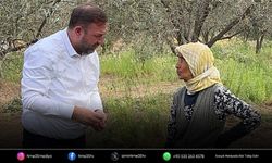 CHP'li Gümrükçü Dikili'de zeytin üreticisinin sorunlarını dinledi