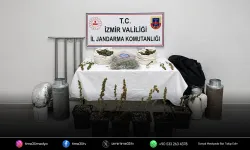 İzmir'de 5 kilo skunk ele geçirildi
