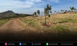 İzmir’de hafriyat sahaları yeniden doğaya kazandırılıyor