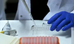 Yasa dışı üreme hücresi ticaretine operasyon
