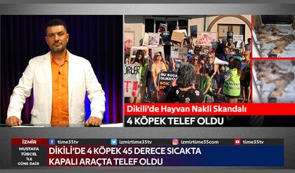 Dikili Belediyesi'nin ihmali sonucu 4 sokak hayvanı telef oldu
