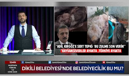 “Dikili Belediyesi’ne Hayvan Hakları Tepkisi: Adil Kırgöz’e ‘Zulüm’ İddiaları”