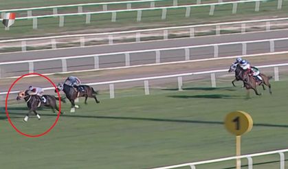 Yarış atı etinin aşevinde dağıtıldığı iddiasına ceza