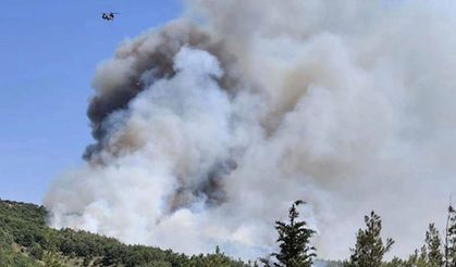 Çeşme'deki otluk alan yangını kontrol altına alındı