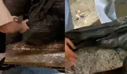 Alihan Kuriş soruşturmasında imha girişimi
